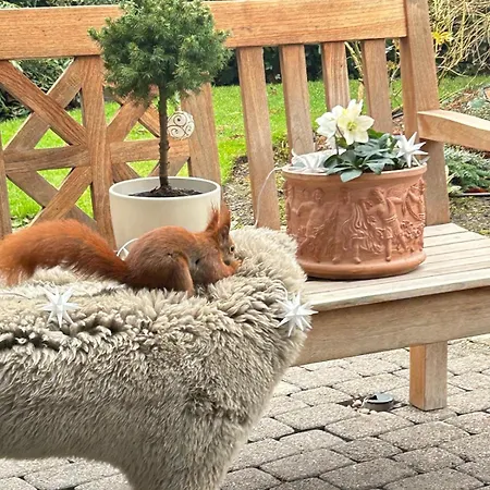 Heimathafen Hannover- Big House With Swimmingpool, Sauna And Garden Appartement *