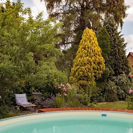 Homeport Hanover- Big House With Swimmingpool, Sauna And Garden Apartment