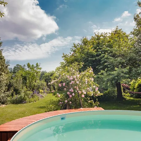 Homeport Hanover- Big House With Swimmingpool, Sauna And Garden * Hannover